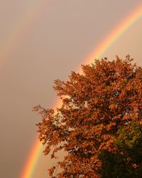 Nature_Rainbow01